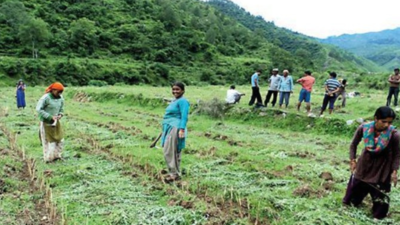 Uttarakhand to develop 6 'aroma valleys' to keep crops safe