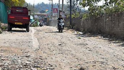 Roads in Tibetan colony not repaired in over 2 decades