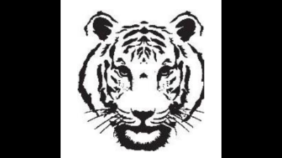 Tigress T-32 electrocuted in Sanjay Reserve