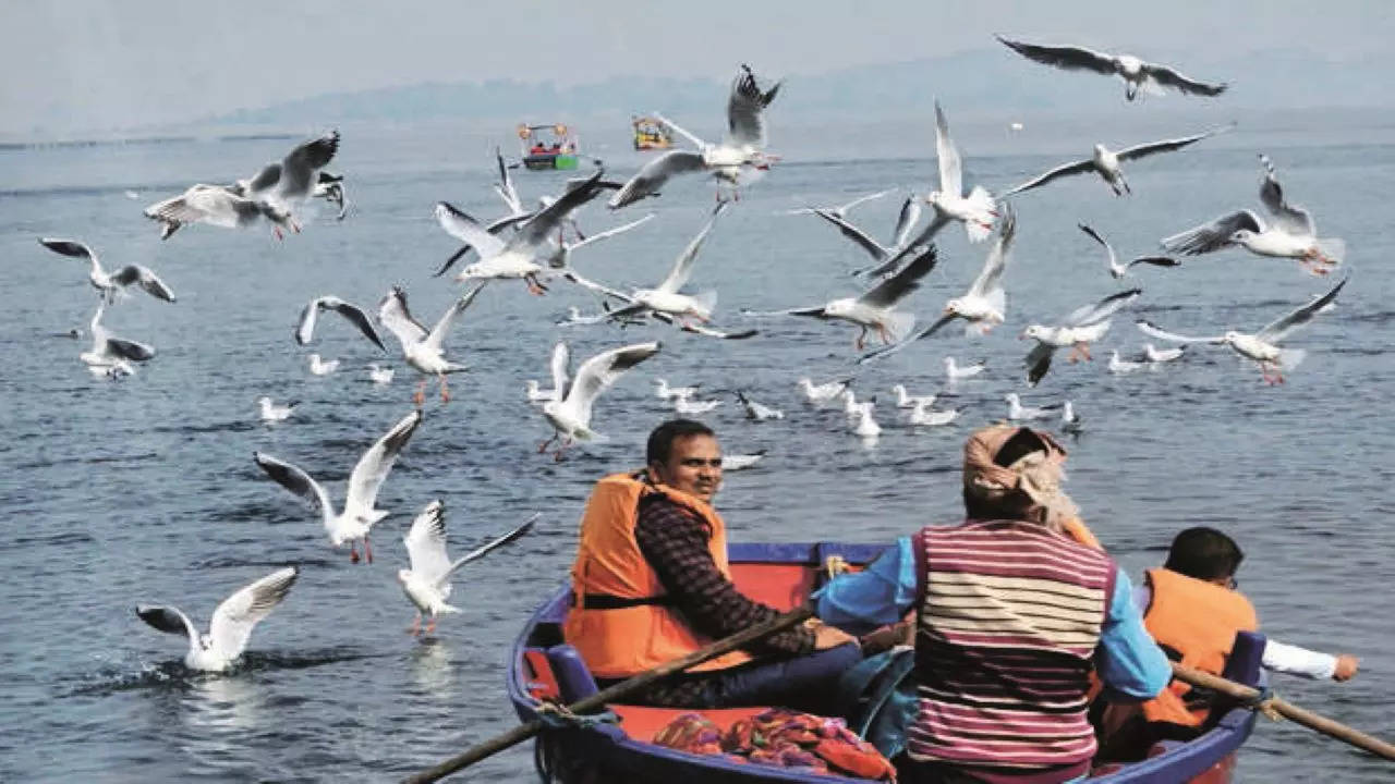 Ramsar Sites in India 2023, Check List Of 75 Ramsar Sites Here