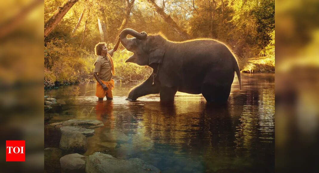 Caretaker Bomman, featured in The Elephant Whisperers, is now in search ...