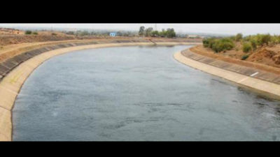 'Incomplete canal: Gujarat's share of Narmada may drop'