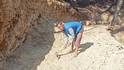 Uttarakhand labourer carves road 'govt failed to make'