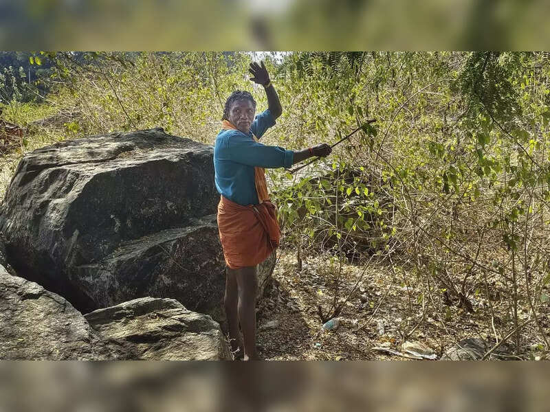 Busy caring for elephants, couple hasn’t yet watched the full documentary
