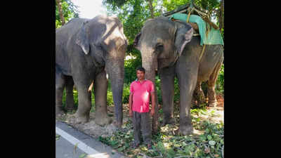 Uttarakhand elephant 'heir' to Rs 5 crore property