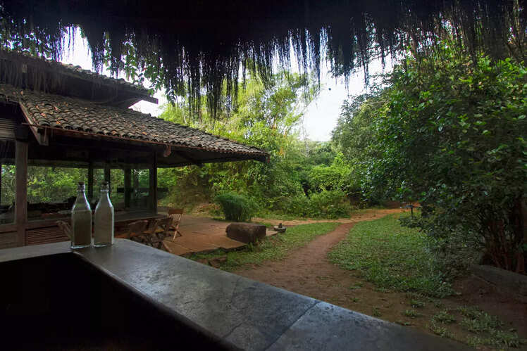 Visit these offbeat places in the Western Ghats before monsoon | Times ...