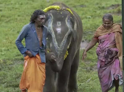 Meet the couple who is the inspiration behind The Elephant Whispers