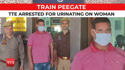 TTE arrested for urinating on woman passenger in 2AC coach of Amritsar bound Akal Takht express