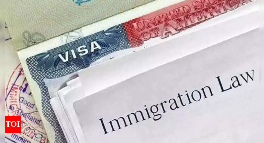 US presidential advisory panel to extend grace period for H1