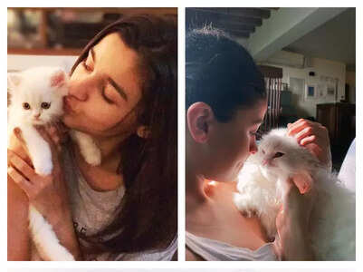 Alia's adorable photos with her cat Edward