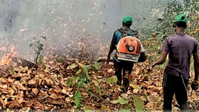 Odisha's burning forests singe House