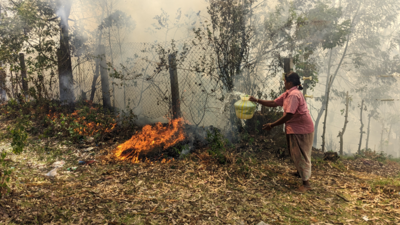 Kodaikanal town enveloped in smoke as fire rages in nearby City View area