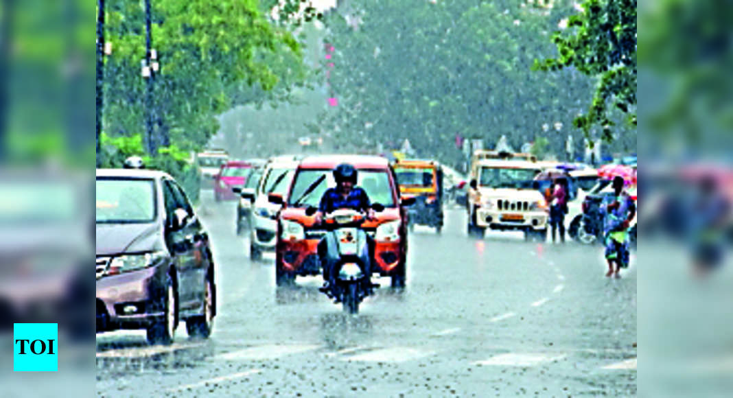 पूरे राज्य में हल्की बारिश से पारा नीचे |  भुवनेश्वर समाचार – टाइम्स ऑफ इंडिया
