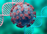 COVID XBB 1.16 variant: Know the symptoms