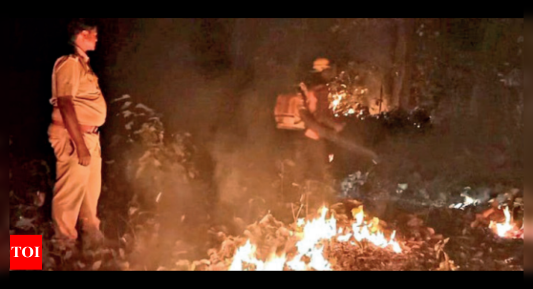 राज्य के जंगल में लगी आग मानव निर्मित: न्यूनतम |  भुवनेश्वर समाचार – टाइम्स ऑफ इंडिया