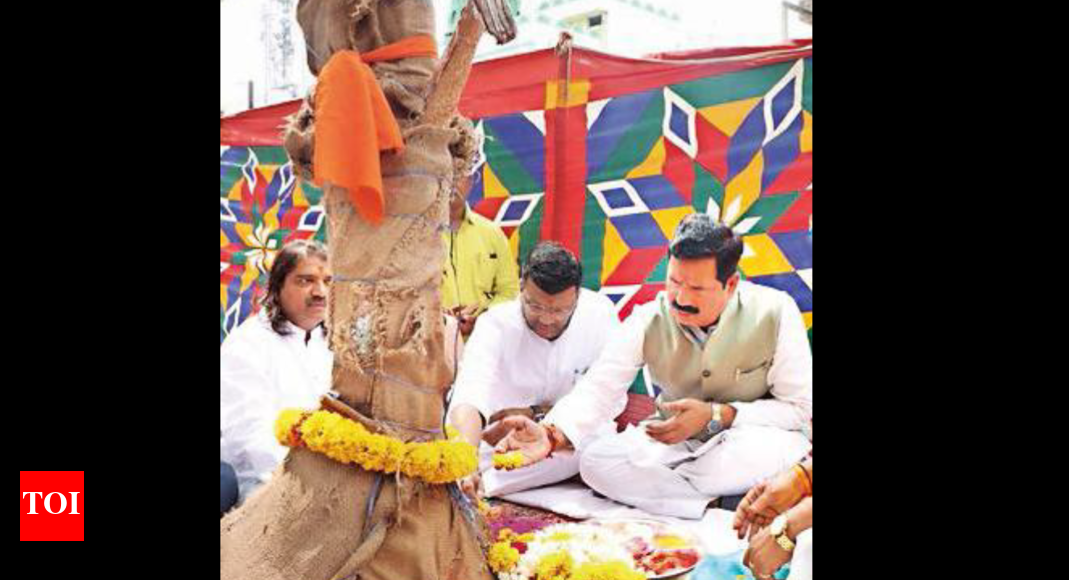 Ida: Relocation Of Trees Begins; Will They Survive The Heat ? | Indore ...