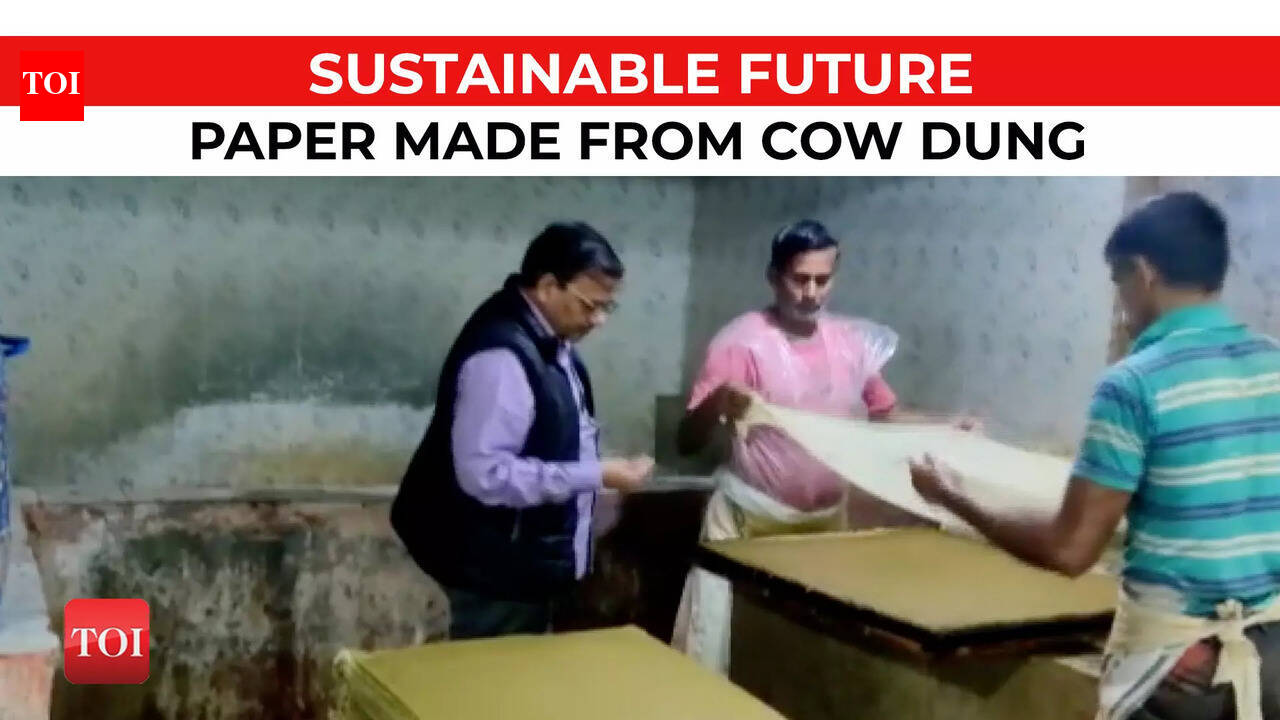 Eco-friendly business: This Jaipur company turns cow dung into various ...