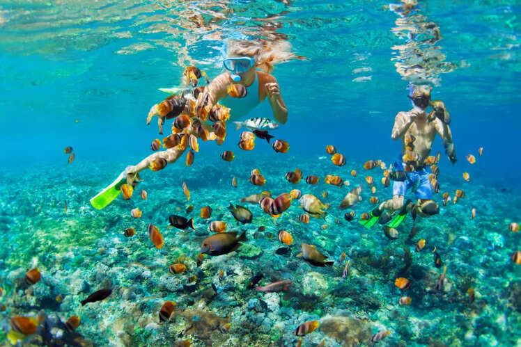 Snorkeling at Bangaram, Lakshadweep