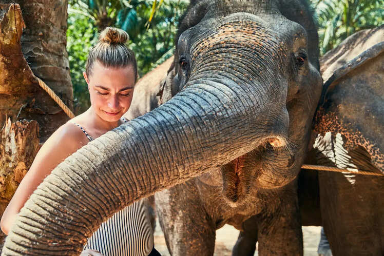 Get close to baby elephants at Gavi
