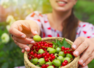 Foods to eat when suffering from a UTI