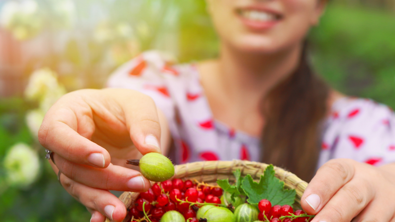 Photo inspiration: Fresh Look at Uti Prevention Foods To Eat When Suffering From A Urinary