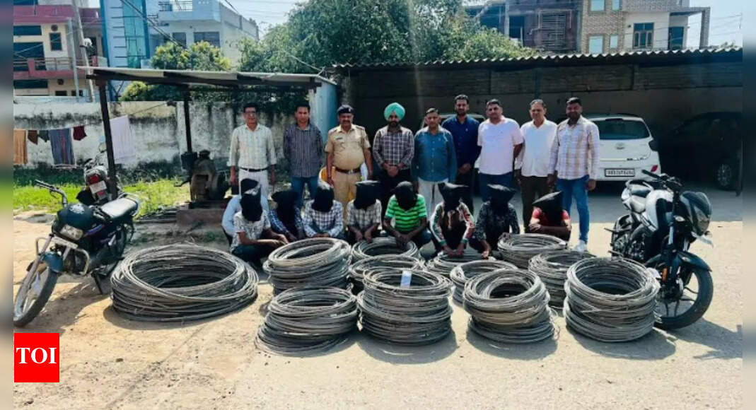 Gang committing theft of electrical equipment held in Haryana's Ambala