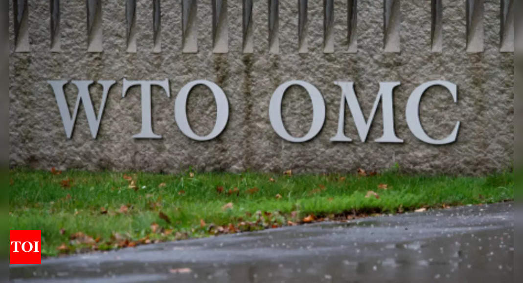 Wto: India flags rising use of green barriers at WTO – Times of India