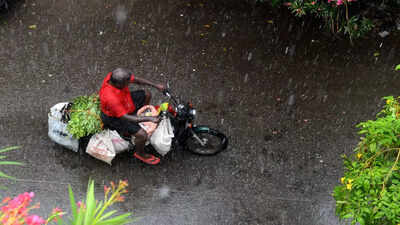 Chennai weather: Some parts of Tamil Nadu likely to receive rain till March 20, IMD forecasts