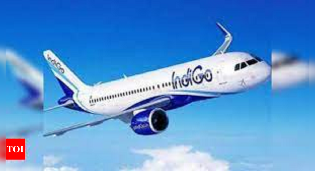 Spicejet: IndiGo, GoAir & Tata airlines to operate more domestic flights this summer; SpiceJet’s to drop by a steep 30% – Times of India