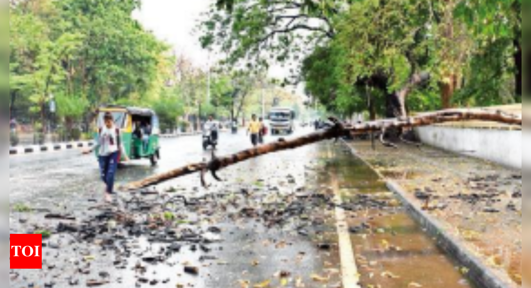 गुजरात में बारिश, आंधी तूफान से 5 की मौत |  वडोदरा समाचार – टाइम्स ऑफ इंडिया