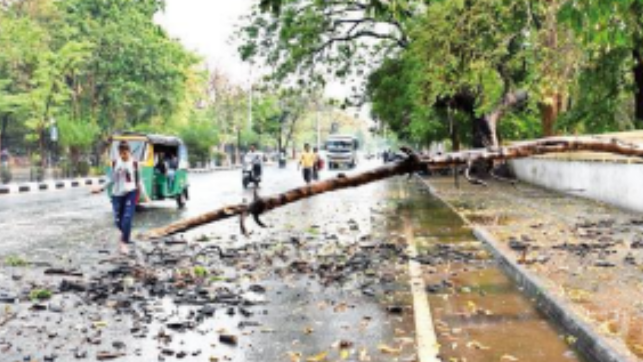 5 killed as rain, thunderstorm batter Gujarat | Vadodara News - Times of  India