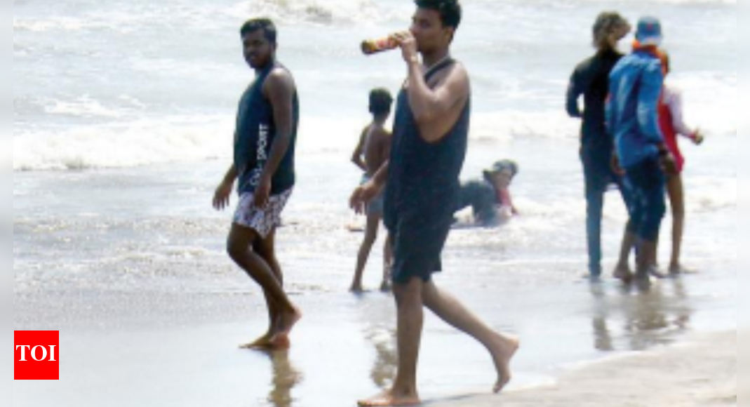 time-to-change-perception-that-anything-chalta-hai-in-goa-tourism