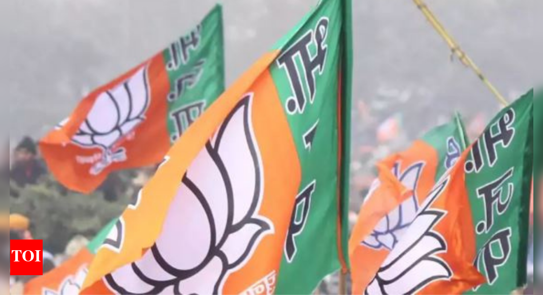 बिहार बीजेपी विधायकों ने सदन में की मॉक प्रोसीडिंग |  पटना समाचार – टाइम्स ऑफ इंडिया