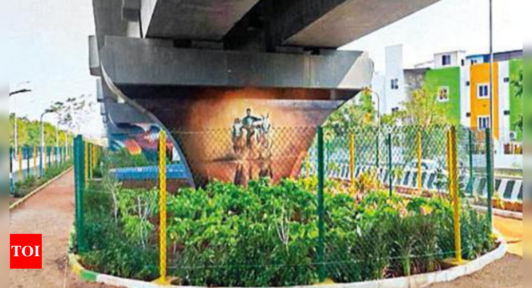 चेन्नई में तीन एमआरटीएस अंडरपास मिनी-पार्क में बदल गए |  चेन्नई समाचार – टाइम्स ऑफ इंडिया