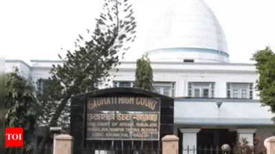 Gauhati HC poser to Centre, state on two Deepor Beel pleas