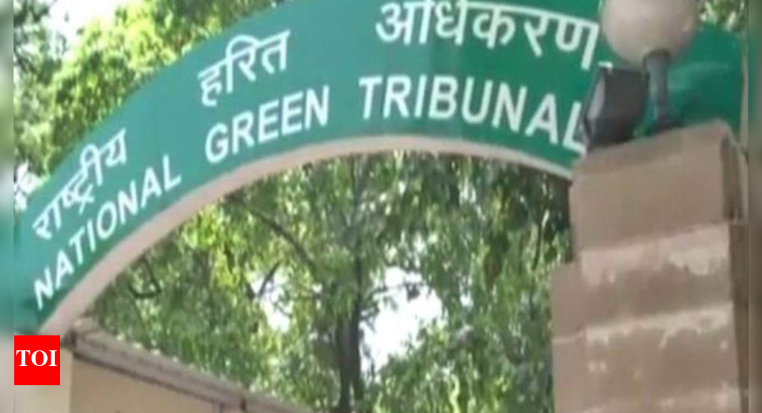 एनजीटी ने क्रीक बैंक पर कचरे के ढेर को लेकर ठाणे नगर निगम के खिलाफ याचिका स्वीकार की  ठाणे समाचार – टाइम्स ऑफ इंडिया