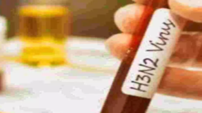H3N2 spurt: Docs propose flu shots for high-risk grps in Telangana