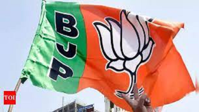 Uttar Pradesh's BJP team likely to get new VPs and regional heads
