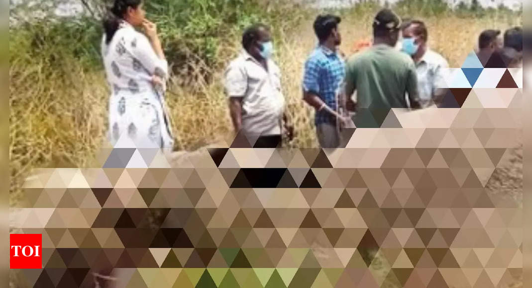 तमिलनाडु के धर्मपुरी जिले में करंट लगने से टस्कर की मौत |  चेन्नई समाचार – टाइम्स ऑफ इंडिया