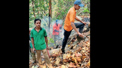 Slide in temperature brings down incidents of forest fire across Odisha