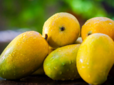 Can people with diabetes eat mangoes?