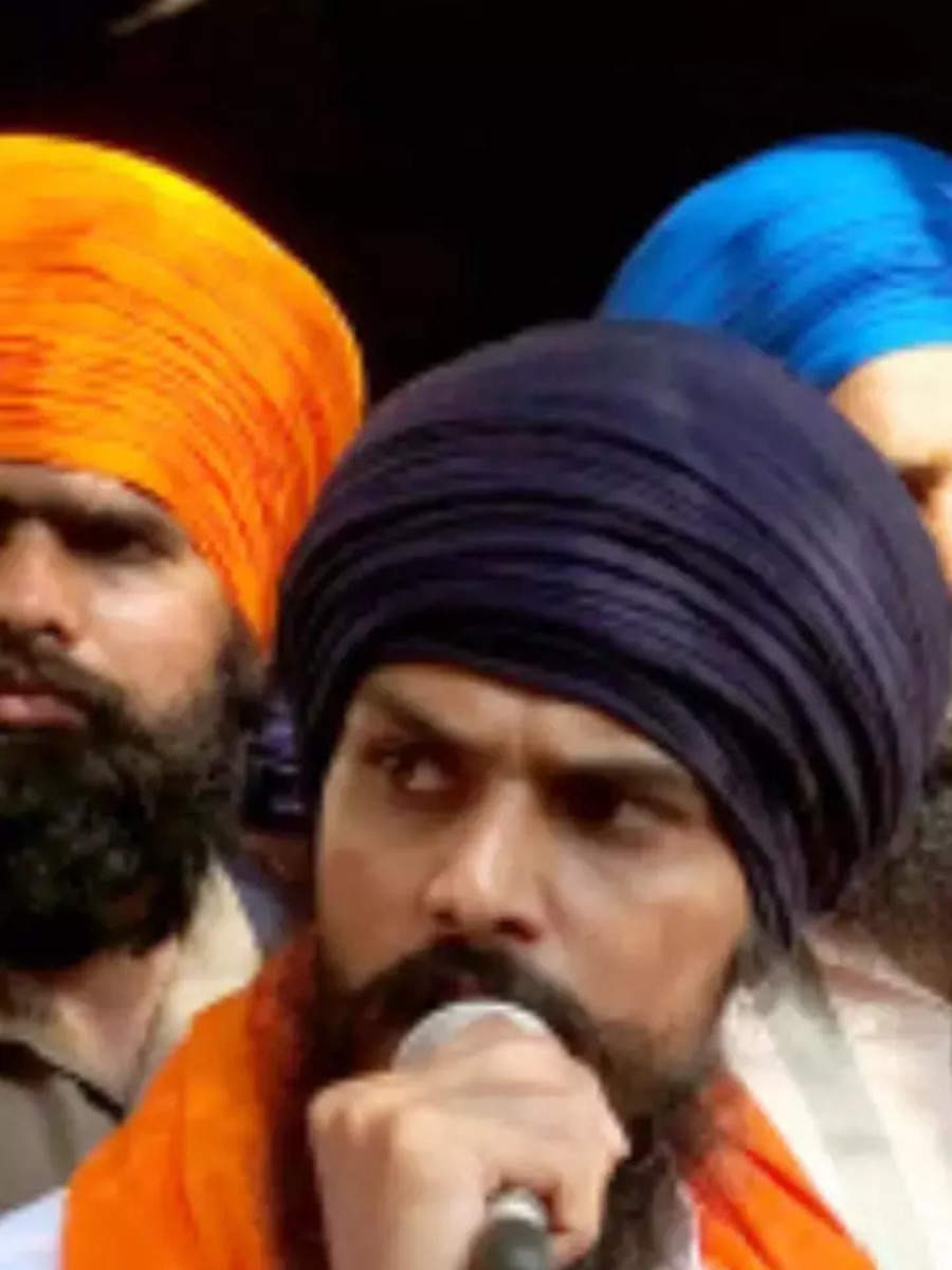 Making Of Amritpal Singh: Head Of Waris Punjab De | Times Of India