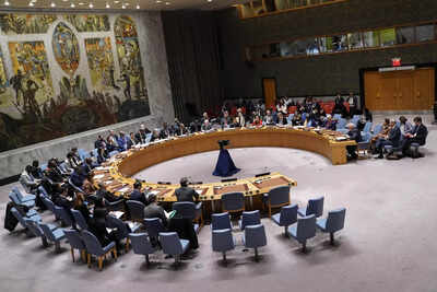 How long will they keep us out of UN Security Council: S Jaishankar