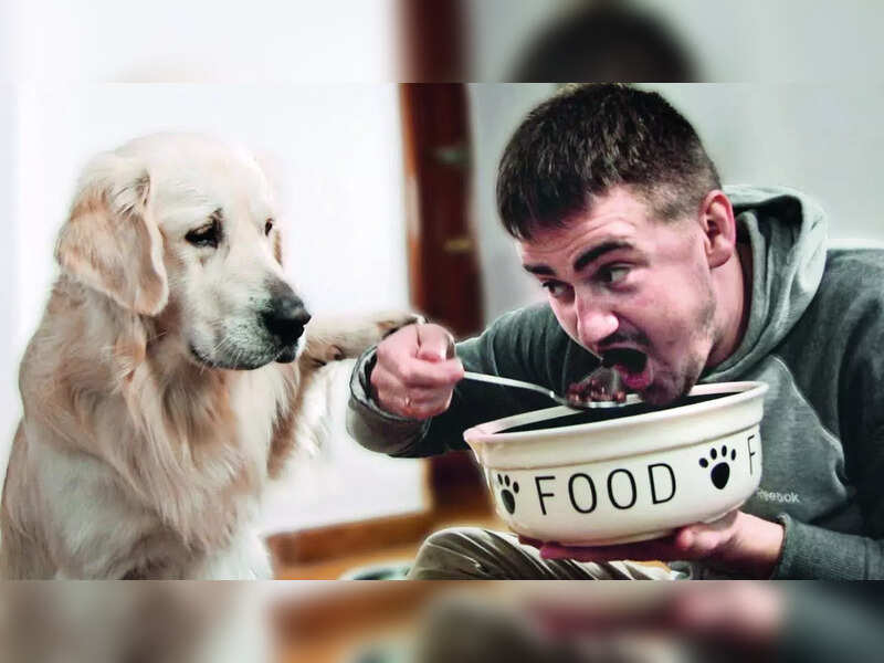 Gym Enthusiasts Are Eating Dog Food And It s Concerning Times Of India gym-enthusiasts-are-eating-dog-food-and-it-s-concerning-times-of-india
