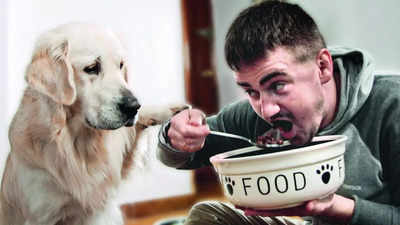 Dog hotsell trying food