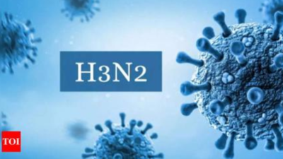 4-year-old Ranchi girl tests H3N2 positive, Jharkhand tally now 2