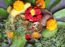 Happy Ugadi 2023: Images, Quotes, Wishes, Messages, Cards, Greetings, Photos, Pictures and GIFs