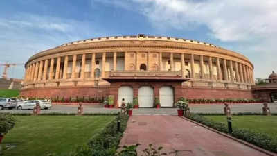 End conflict, finalise MoP, House panel tells govt, Supreme Court