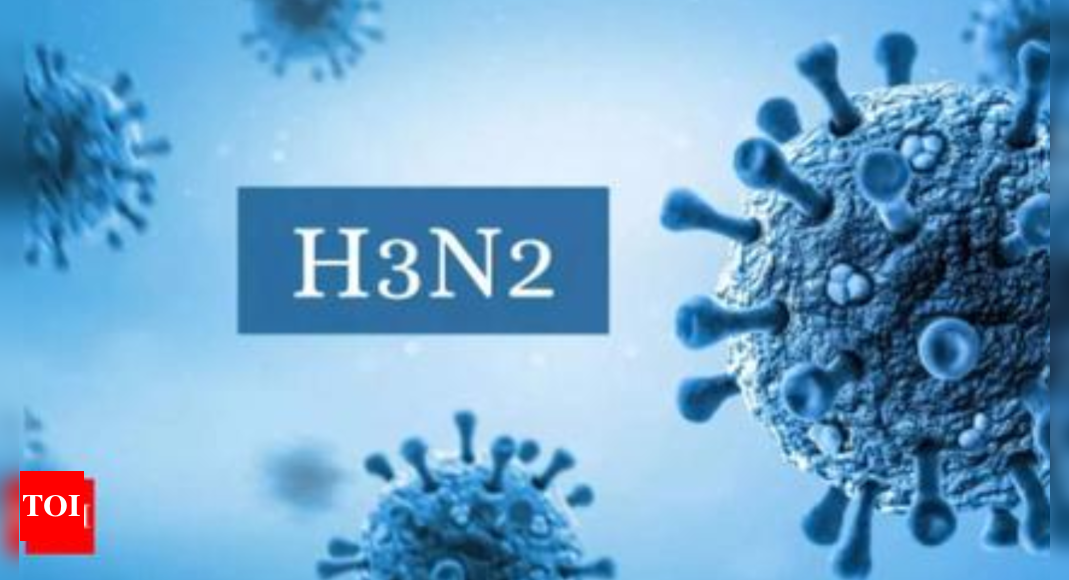 H3N2 मामले के बाद, गुड़गांव में टाइप-बी इन्फ्लूएंजा के लिए दो परीक्षण सकारात्मक |  गुड़गांव समाचार – टाइम्स ऑफ इंडिया