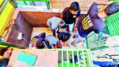 Panic grips residents after leopard strays into village barely 200m from NDA gate in Pune